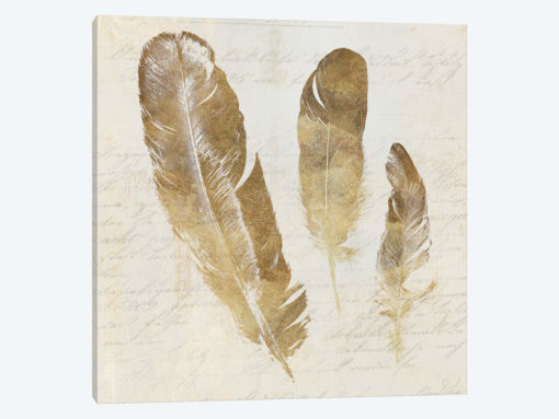 Feather Softly I