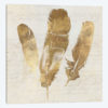 Feather Softly II