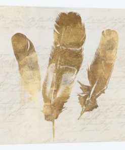 Feather Softly II