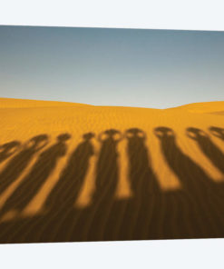Shadows of waterbearers, Thar Desert, India