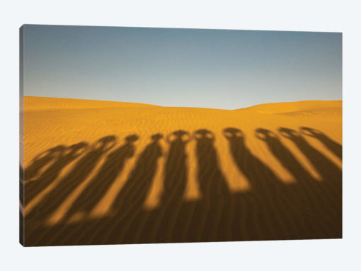 Shadows of waterbearers, Thar Desert, India