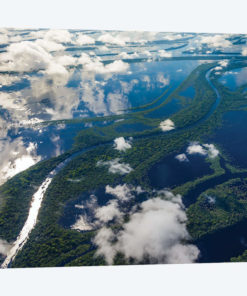 Aerial of Amazon River Basin, Manaus, Brazil I