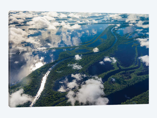 Aerial of Amazon River Basin, Manaus, Brazil I