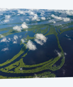 Aerial of Amazon River Basin, Manaus, Brazil II