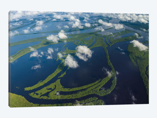 Aerial of Amazon River Basin, Manaus, Brazil II