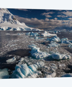 Antarctic Peninsula, Antarctica