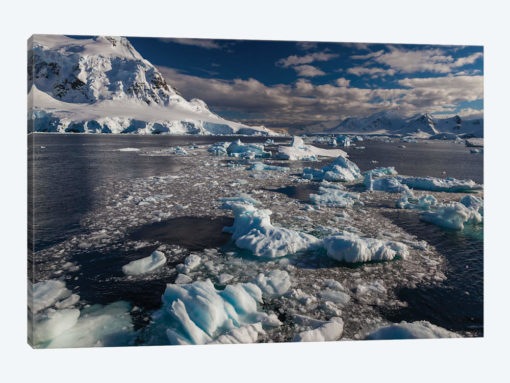 Antarctic Peninsula, Antarctica