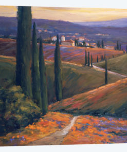 Afternoon I