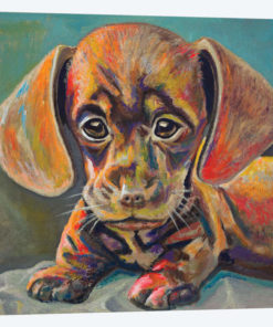 Puppy Face