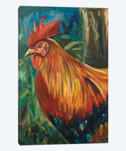 Rooster