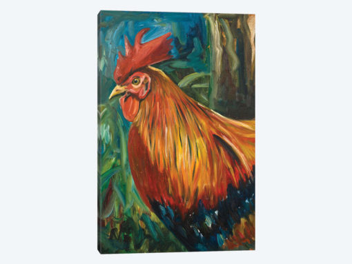 Rooster
