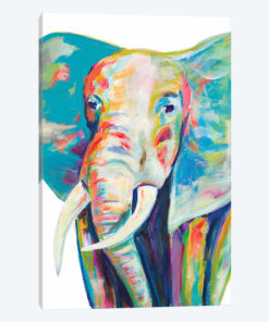 Colorful Elephant