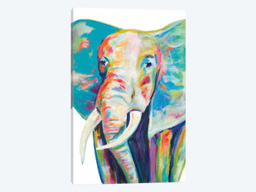 Colorful Elephant