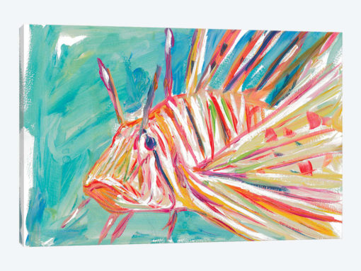 Colorful Fish