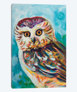 Colorful Owl