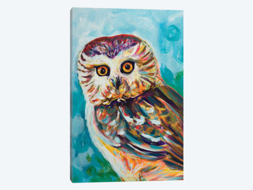 Colorful Owl