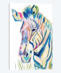 Colorful Zebra