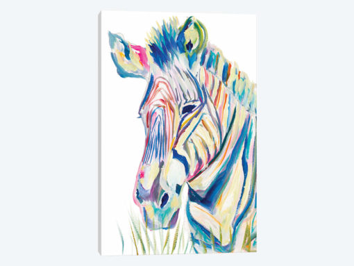 Colorful Zebra