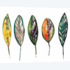 Feathers
