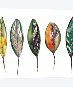 Feathers