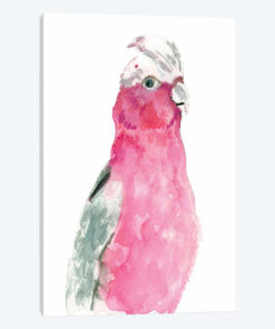Fuschia Feathers