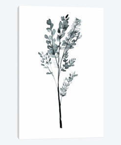 Herb