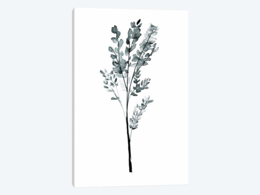 Herb