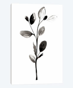 Herb II