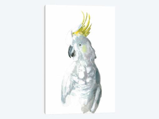 Cockatiel I