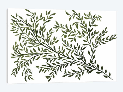 Sage