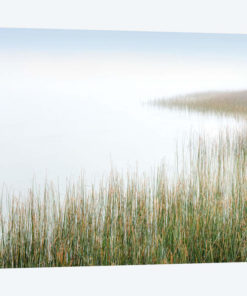 Crescent Beach Calm III