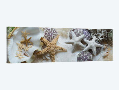Island Tide Pool IV