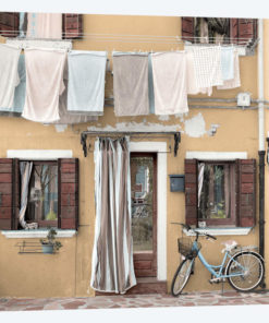 Venetian Bicicletta I