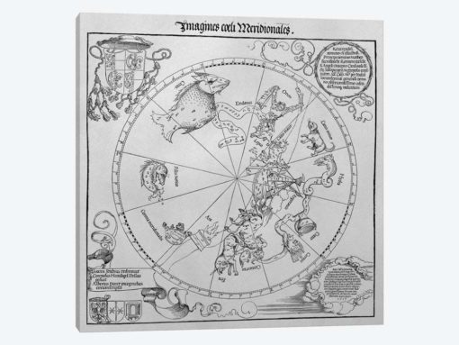 The Celestial Globe - Southern Hemisphere