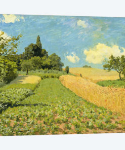 The Cornfield