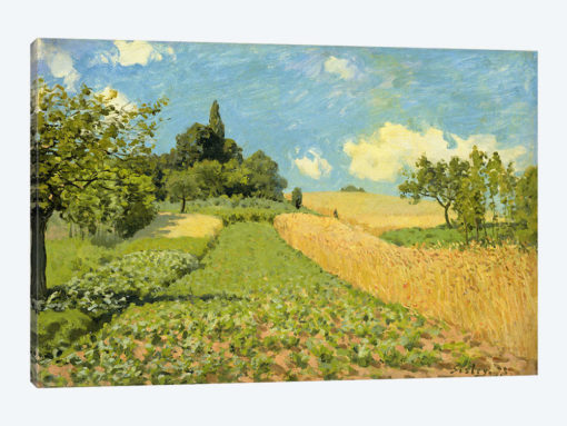 The Cornfield