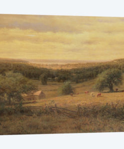 Hudson River View