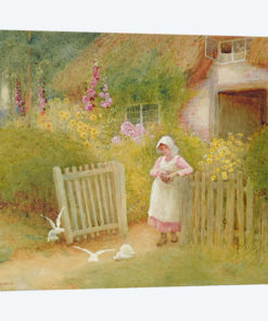 Feeding the Doves