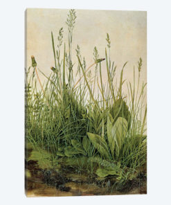 The Great Piece of Turf, 1503