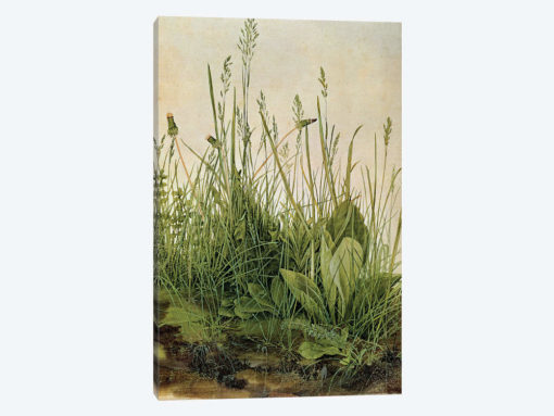 The Great Piece of Turf, 1503