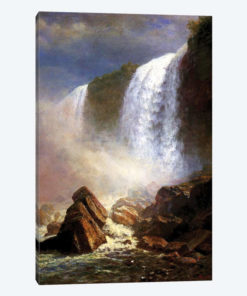 The Niagara Falls