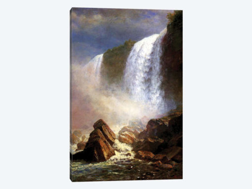 The Niagara Falls