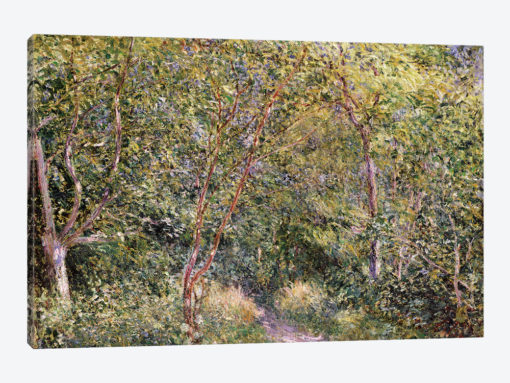 In the Wood