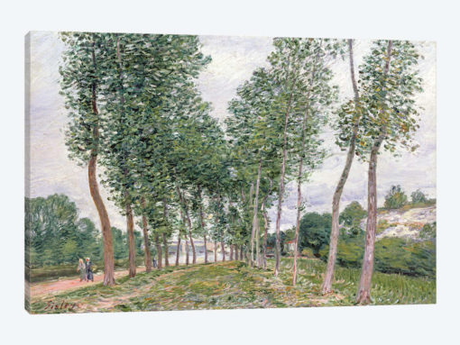 The Avenue of Poplars along the Banks of the Loing, 1892