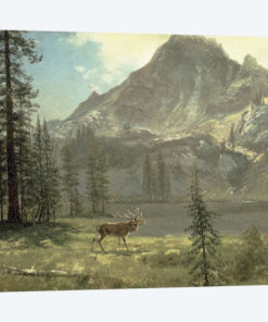 Call of the Wild