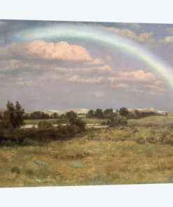 After the Storm