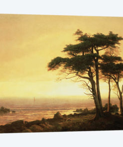 California Coast