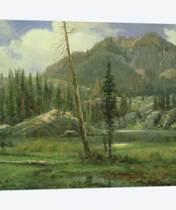 Sierra Nevada Mountains