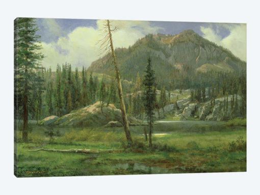 Sierra Nevada Mountains