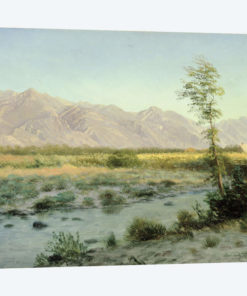 Prairie Landscape
